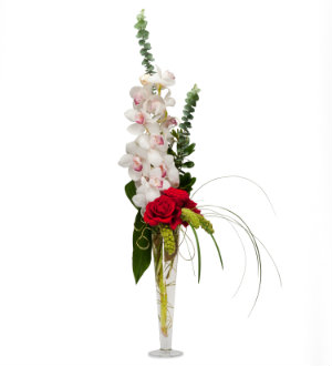 Exquisite Elegance