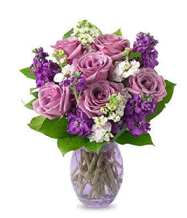 Purple Devotion