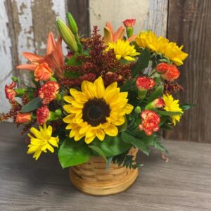 Fall Gardens