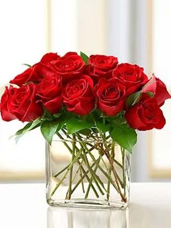 Modern Elegance Roses
