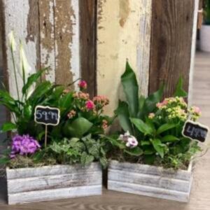 Grandma's Window Box