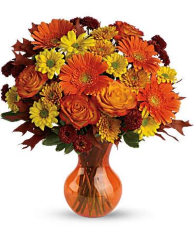 <div id="mark-3" class="m-pdp-tabs-marketing-description">Brighten their home with the gift of sunshine. That's what it's like to receive the sunniest bouquet ever in a sparkling orange vase. Since this cheerful bouquet is so affordable, why not bring sunshine indoors at your house, too?</div>
<div id="desc-3">
<ul>
<li>The spectacular bouquet includes orange roses, orange gerberas, yellow daisy spray chrysanthemums, orange cushion spray chrysanthemums and rust button spray chrysanthemums accented with fresh greenery.</li>
</ul>
</div>