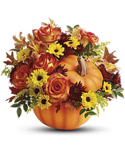 <div id="mark-3" class="m-pdp-tabs-marketing-description">Celebrate the beauty of fall with this colorful, heartwarming mix of roses and alstroemeria, hand-delivered in our classic ceramic pumpkin.</div>
<p>&nbsp;</p>
<div id="desc-3">
<ul>
<li>Includes a lush mix of orange roses, orange alstroemeria, burgundy cushion chrysanthemums, yellow daisy chrysanthemums, solidago, huckleberry and oak leaves.</li>
<li>Delivered in a keepsake ceramic pumpkin.</li>
</ul>
</div>