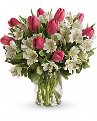 <p>&nbsp;</p>
<hr />
<p>&nbsp;</p>
<hr />
<div id="mark-2" class="m-pdp-tabs-marketing-description">Spring is the season for romance! Brimming with exquisite tulips and alstroemeria, this bouquet in a classic glass hurricane celebrates the beauty of the season.</div>
<p>&nbsp;</p>
<div id="desc-2">
<ul>
<li>Includes pink tulips, white alstroemeria and variegated pittosporum.</li>
</ul>
</div>